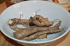 Attēlu rezultāti vaicājumam “Campanula rapunculoides bud”