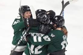 Image result for Fleet Hockey Club