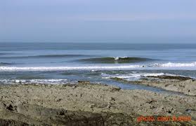 Image result for Croyde Surf Club