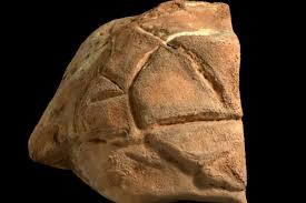 Attēlu rezultāti vaicājumam “Geocrypta galii”