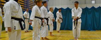 Image result for Haslemere Karate Club
