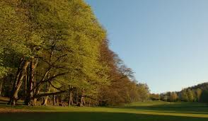 Image result for Ampleforth College Golf Club