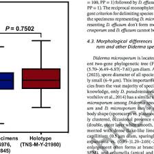 Attēlu rezultāti vaicājumam “Diderma deplanatum sessile”