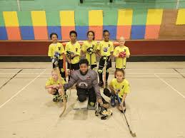 Image result for Manchester Roller Hockey Club