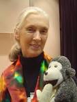 Jane Goodall (1934- ) English