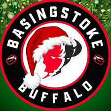 Image result for Basingstoke Bison Ice Hockey Club