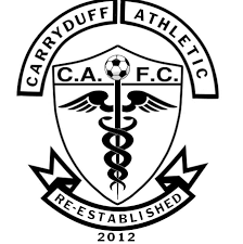Image result for Carryduff Gaelic Athletic Club