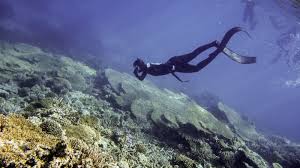 Image result for Crystal Freedivers (London)
