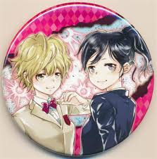 「笹川京子 家庭教師ヒットマンREBORN!」の画像検索結果