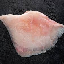 Image result for Microstomus kitt