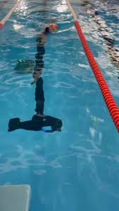 Image result for Poole Swimming Club