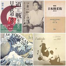 Image result for Yoseikan Budo England