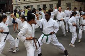 Image result for York University Karate Club