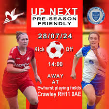 Image result for Haywards Heath Town Ladies Football Club