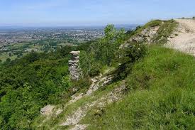 Image result for Cheltenham Cc