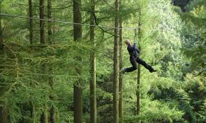 Image result for Go Ape! Dalby