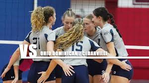 Image result for Reading Aces Volleyball Club