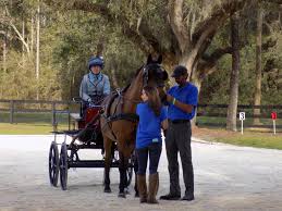 Image result for Bookham Riding School