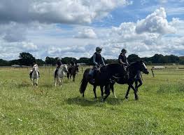 Image result for Chiddingfold Branch Of The Pony Club