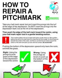 Image result for Pitch marking blog