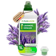 Image result for Lavendel