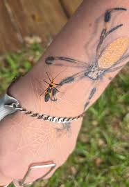 Attēlu rezultāti vaicājumam “Pantilius tunicatus imago”