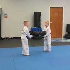 Image result for Skillz Martial Arts
