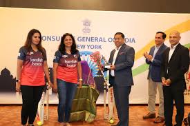 Image result for York Ladies Cricket Club