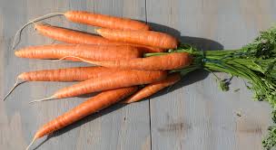 Image result for Möhren