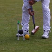 Image result for Swanage Cricket Club