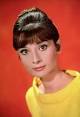 Audrey Hepburn Image Audrey Hepburn   IMDb Picture 2