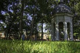 Image result for Leaves Green Bowmen