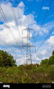 Image result for Woking Power