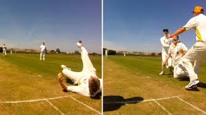 Image result for Lingfield Cricket Club