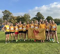 Image result for Hercules Wimbledon A C