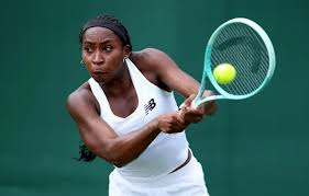 Image result for V-Tennis