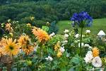 Flowers-and-Trees « Dancing With Fools