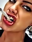 Bad Habit Bad Attitude by