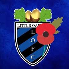 Image result for Ockley Acorns Junior F C