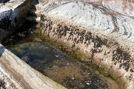 Image result for Scottish Rocks