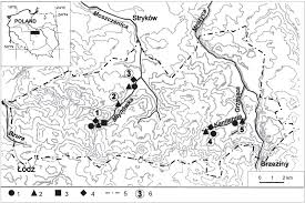 Attēlu rezultāti vaicājumam “Verrucaria hydrela”
