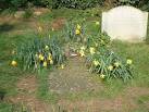 TL4359 : Grave of philosopher - via Daymix