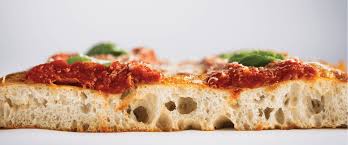 Attēlu rezultāti vaicājumam “Pica pica”