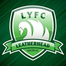 Image result for Leatherhead Football Club