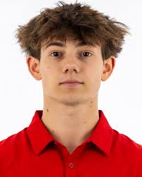 Image result for York University Gymnastics Club