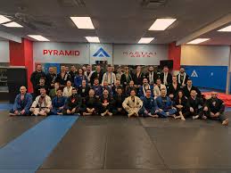 Image result for Pyramid martial arts