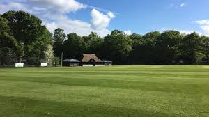 Image result for Buscot Park Cricket Club