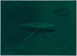 Image result for Eberhard Havekost