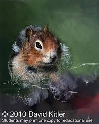 Image result for kitler