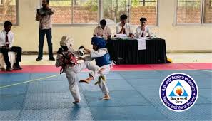 Image result for Hed Tkd (Dorking Tae Kwon-Do)